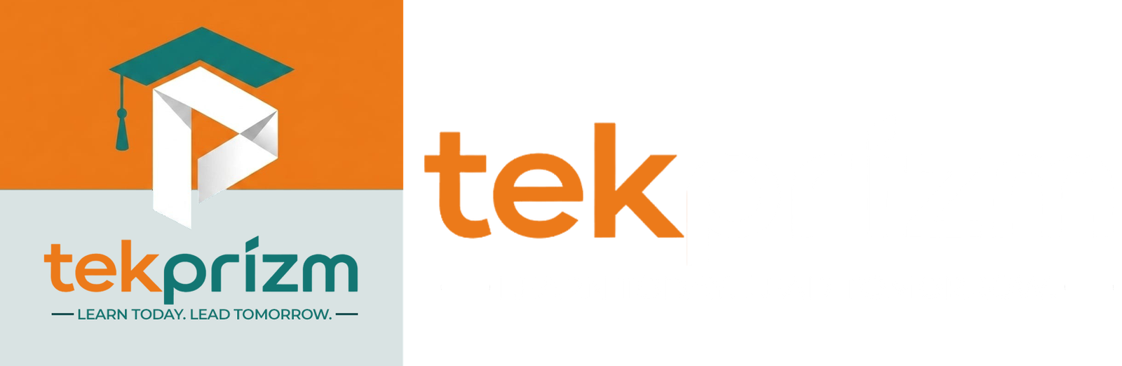 TekPrizm Logo